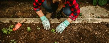 Pexels Helenalopes 27176758