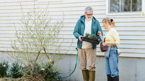 Effective Pension Age (EPA)